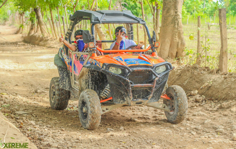 FAMILY BUGGY